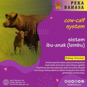 pekabahasa sistem ibu anak