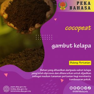 gambut kelapa 25012021