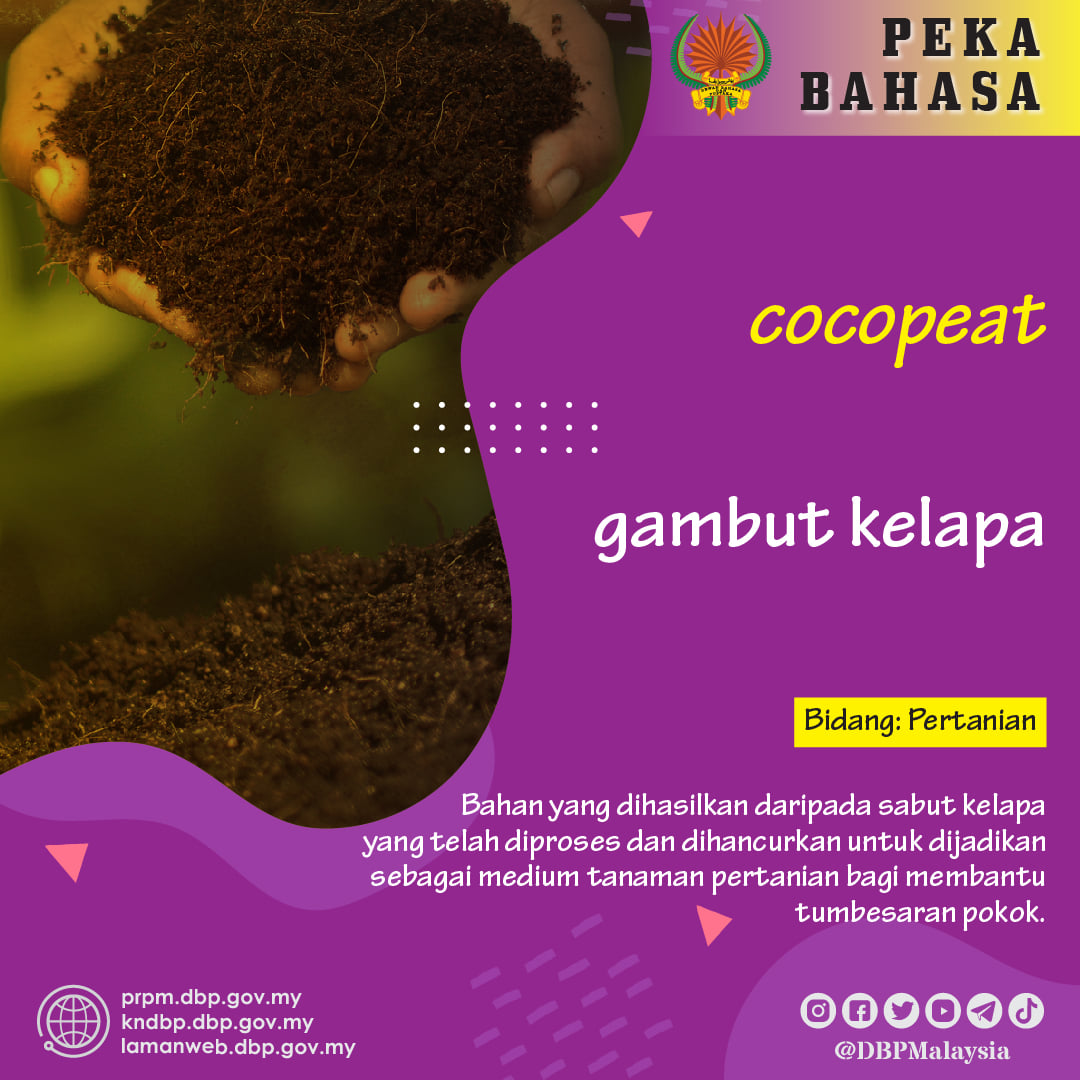 gambut kelapa 25012021