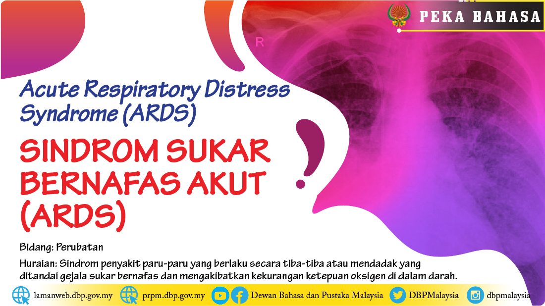 Template peka bahasa ARDS 01