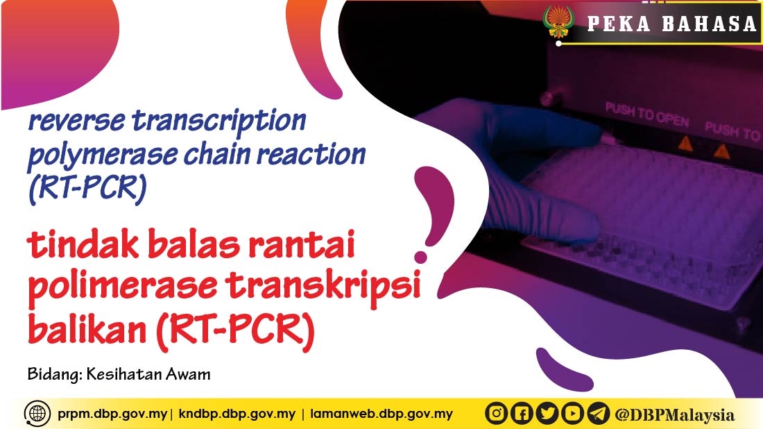 Template peka bahasa RT PCR 01