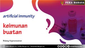 Template peka bahasa keimunan buatan 01