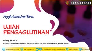 Template peka bahasa ujian pengaglutinan 01