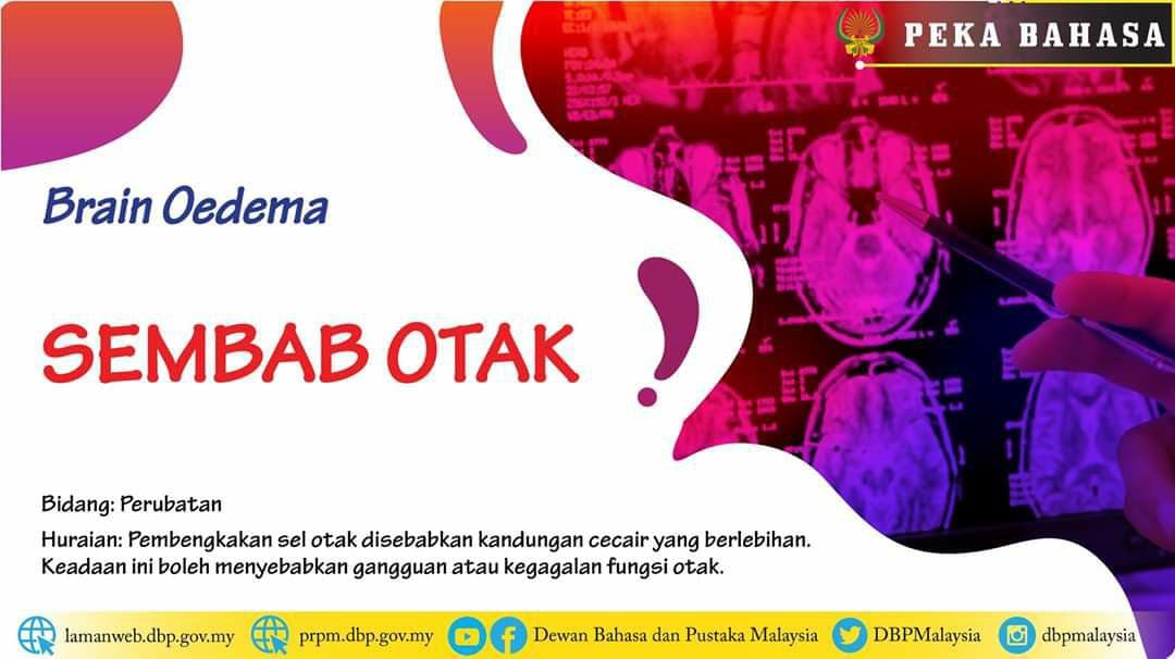 sembab otak