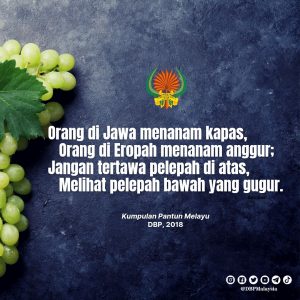 IMG 20210904 162937 861