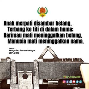 IMG 20210904 162947 095