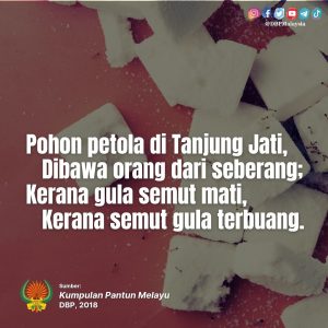 IMG 20210904 163637 449