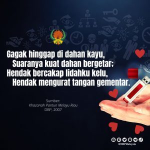 IMG 20210904 163819 696