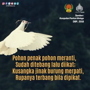 IMG 20210904 164440 530