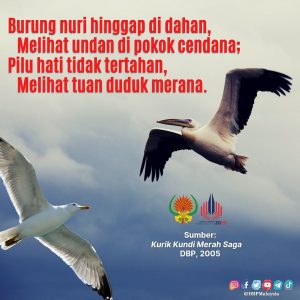 IMG 20210904 164635 145
