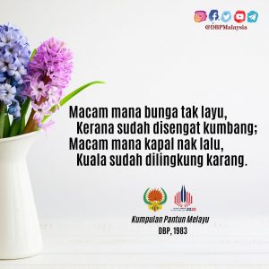 IMG 20210904 165612 431