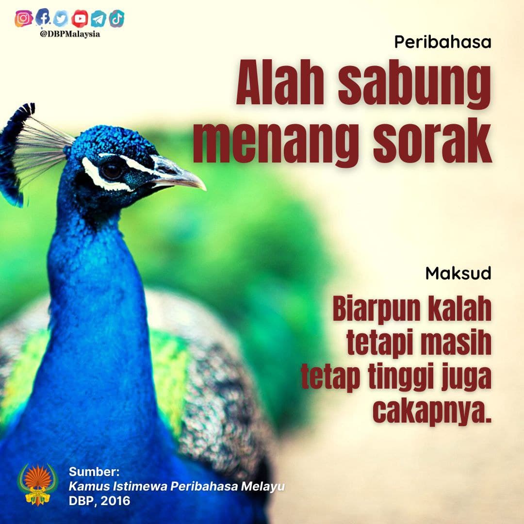 alah sabung menang sorak 241121