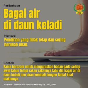 bagai air di daun keladi 311221