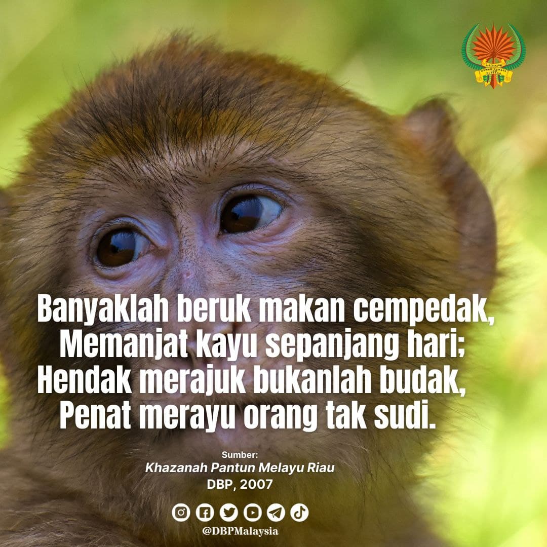 banyaklah beruk makan cempedak 181021 1