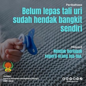 belum lepas tali uri 210222