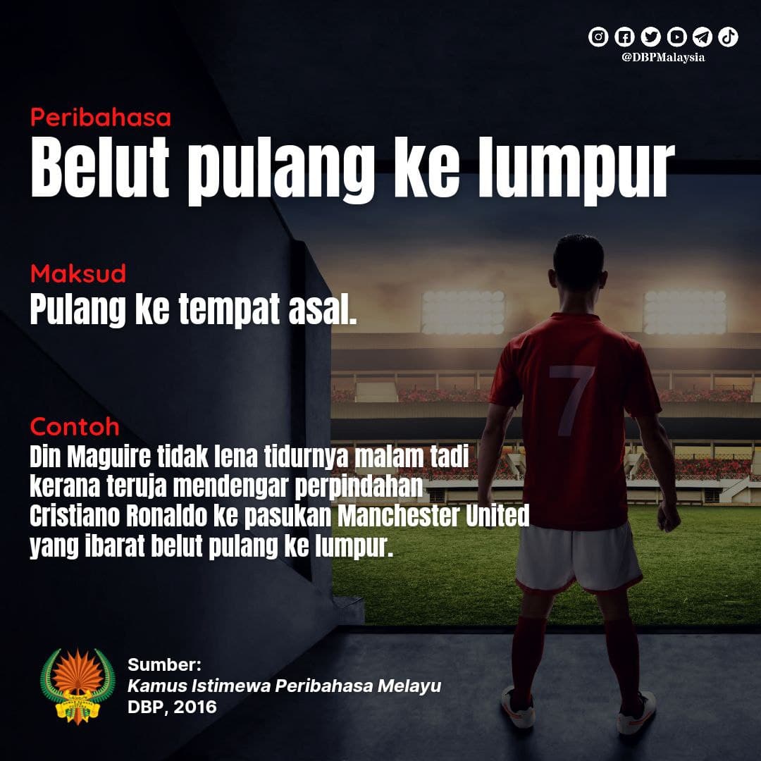 belut pulang ke lumpur 28821