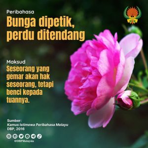 bunga dipetik perdu ditendang 171121