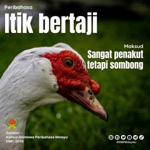 itik bertaji 010222