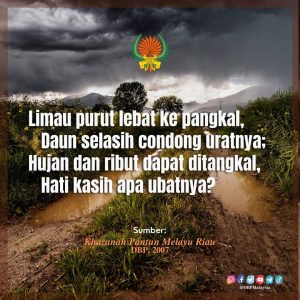 limau purut lebat ke pangkal 28921