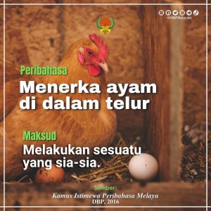 menerka ayam di dalam telur 030222