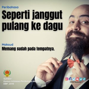 seperti janggut pulang ke dagu 020122