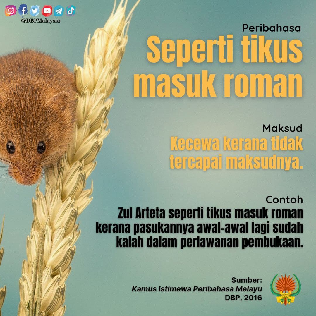 seperti tikus masuk roman 14821