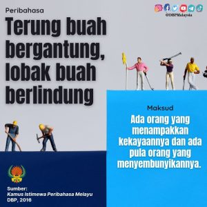 terung buah bergantung 170222