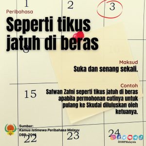 tikus jatuh di beras 011221