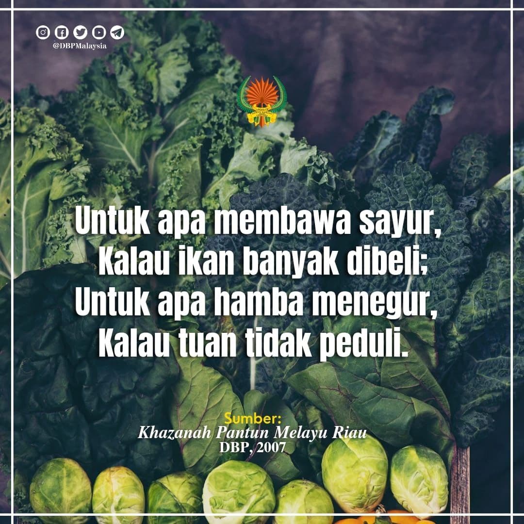 untuk apa membawa sayur 251121 1