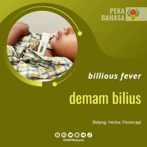 demam bilius