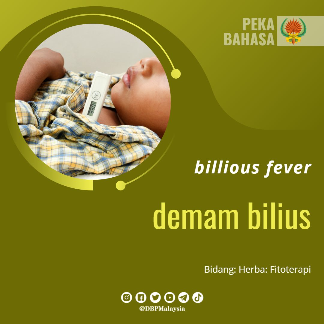 demam bilius