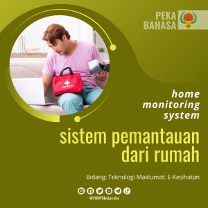 home monitoring system
