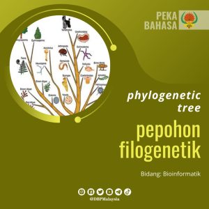 pepohon filogenetik