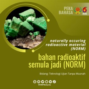 12. NORM 1