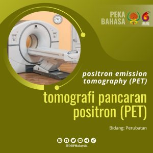 13. PET 1