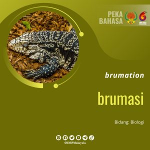 18. brumasi 1