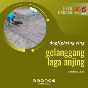 9. gelanggang laga anjing 1
