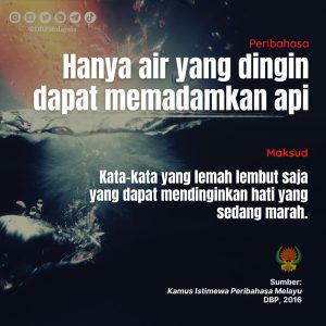 13 nov