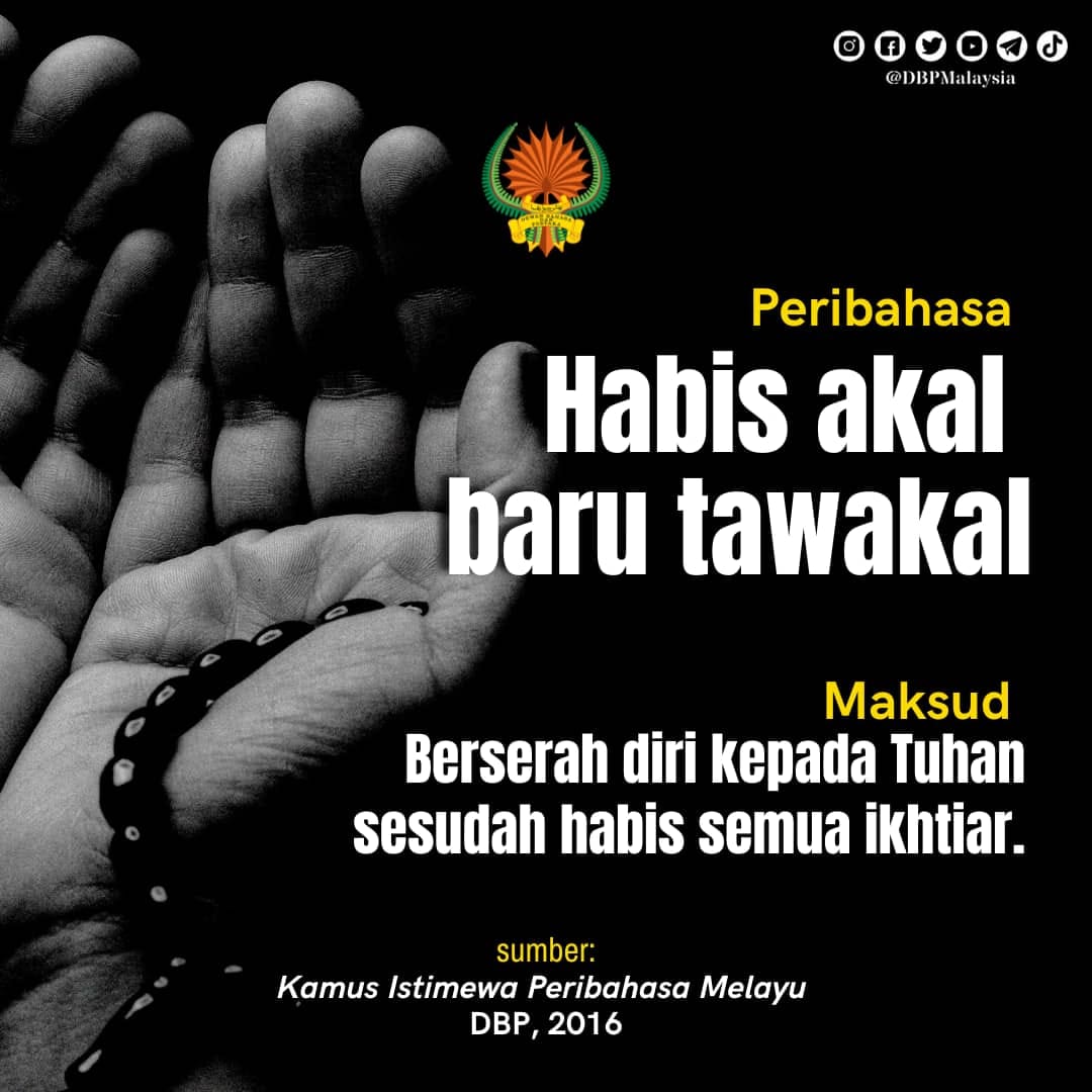 19 nov 2