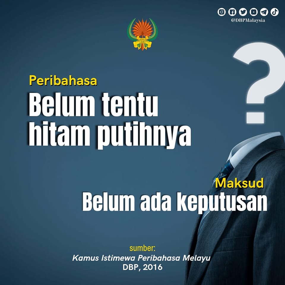 19 nov