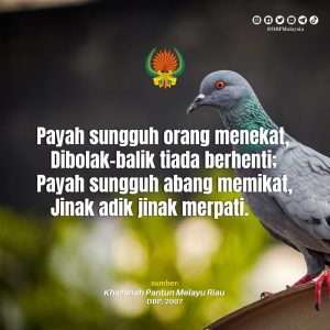 22 sept