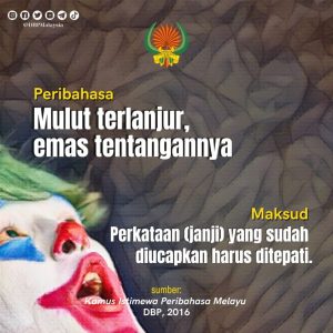6 nov