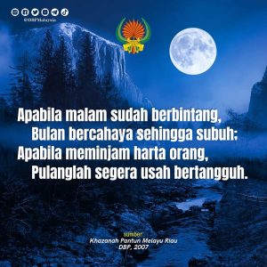 7 nov