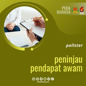 19. peninjau pendapat awam