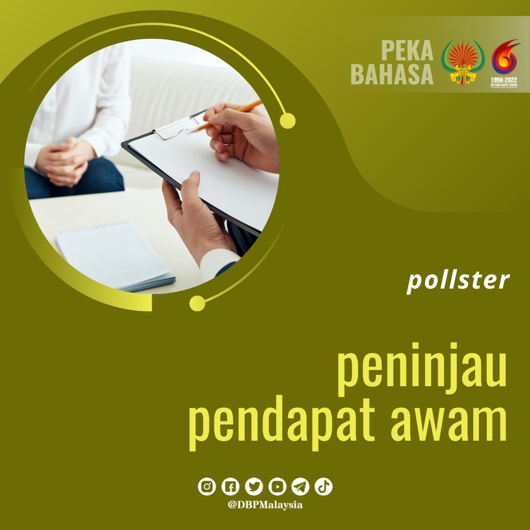 19. peninjau pendapat awam