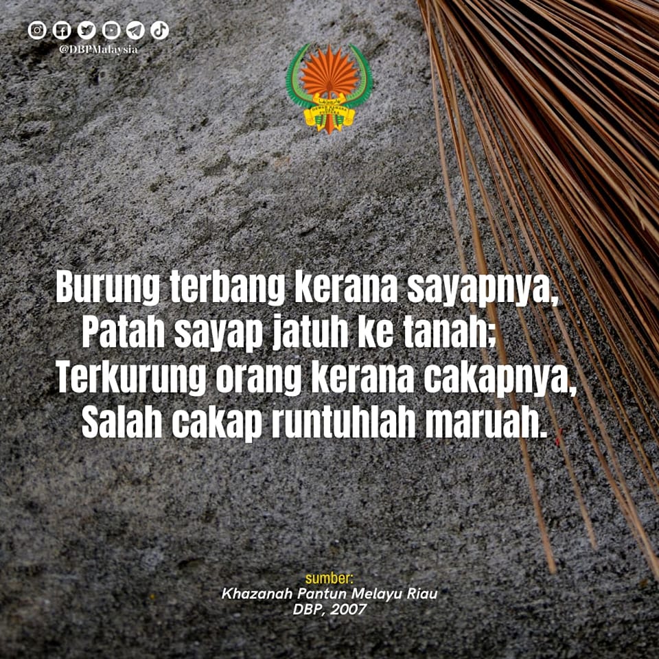 29 nov