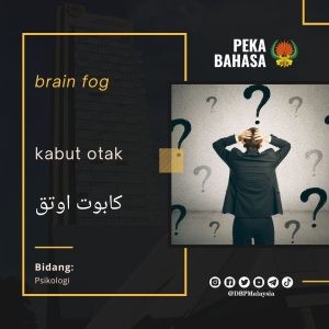 11. brain fog 1