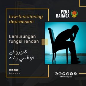 13. low function 1