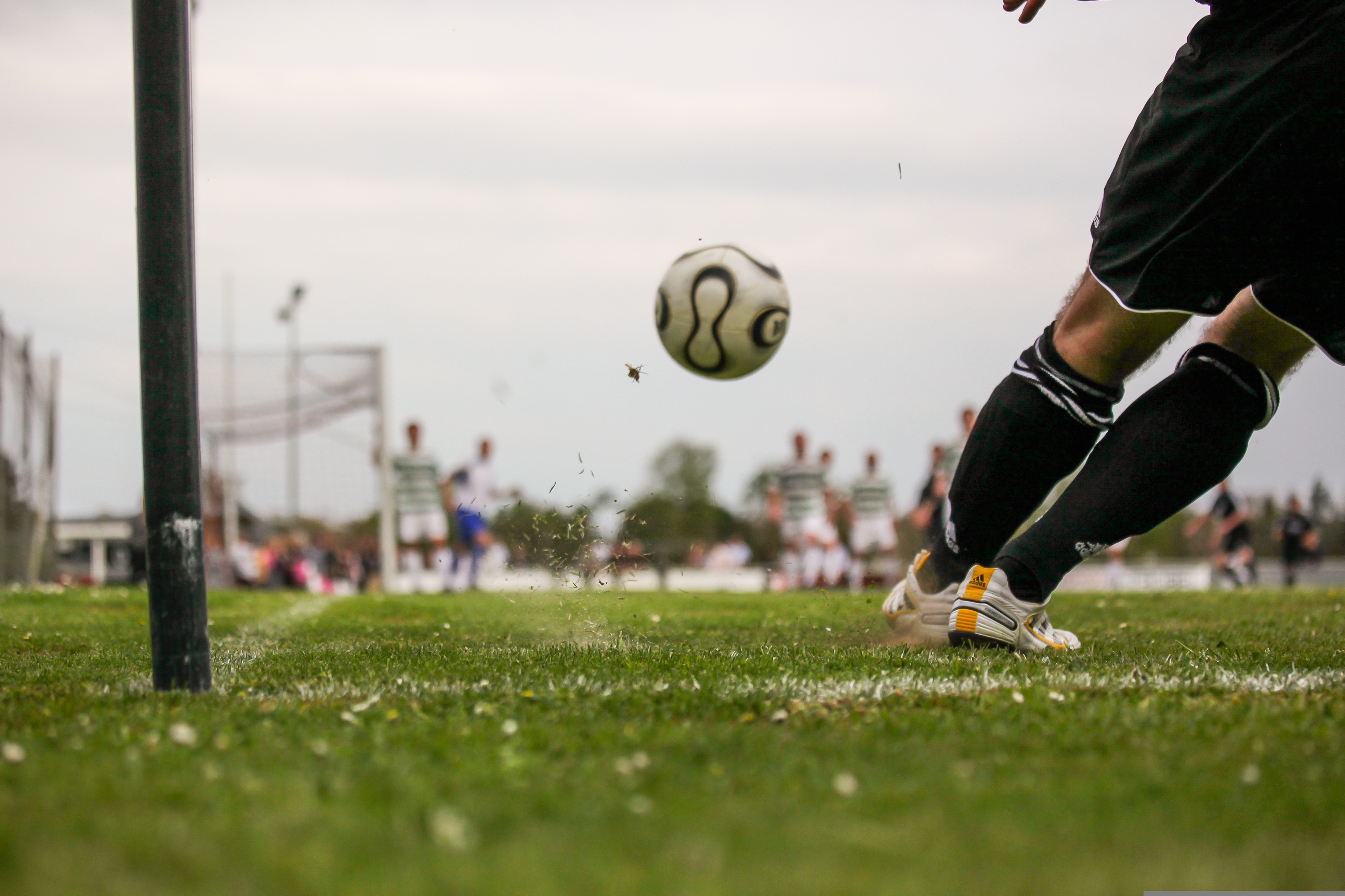 sepph soccer 1678992