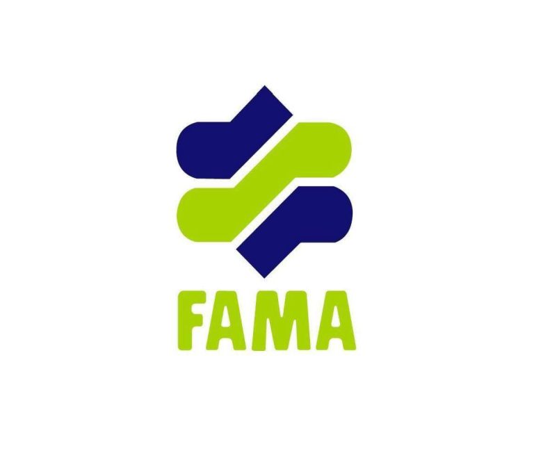 FAMA NEW